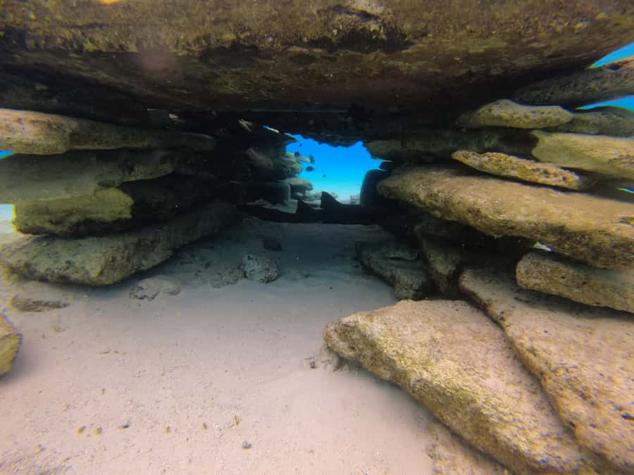 From San Andres: Cayo Acuario Tour - Small-group freedom versus lack of a snorkeling guide