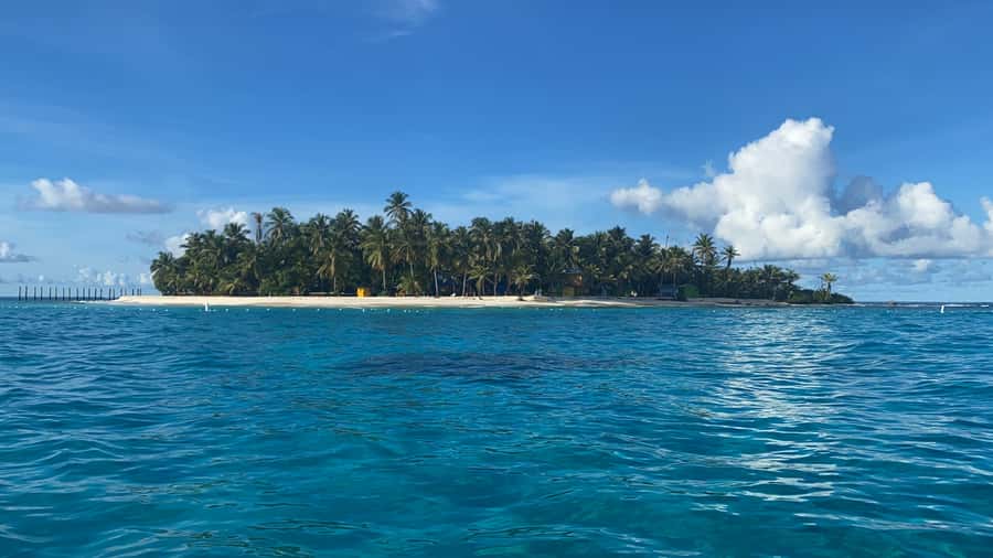 From San Andrés: Speedboat Tour to Johnny Cay Island - Johnny Cay in One Day: What This Speedboat Really Delivers