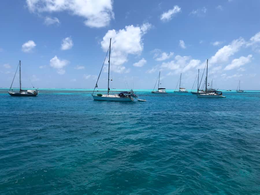 From San Andrés: Speedboat Tour to Johnny Cay Island - Price and Value: Is $33 a Fair Deal?