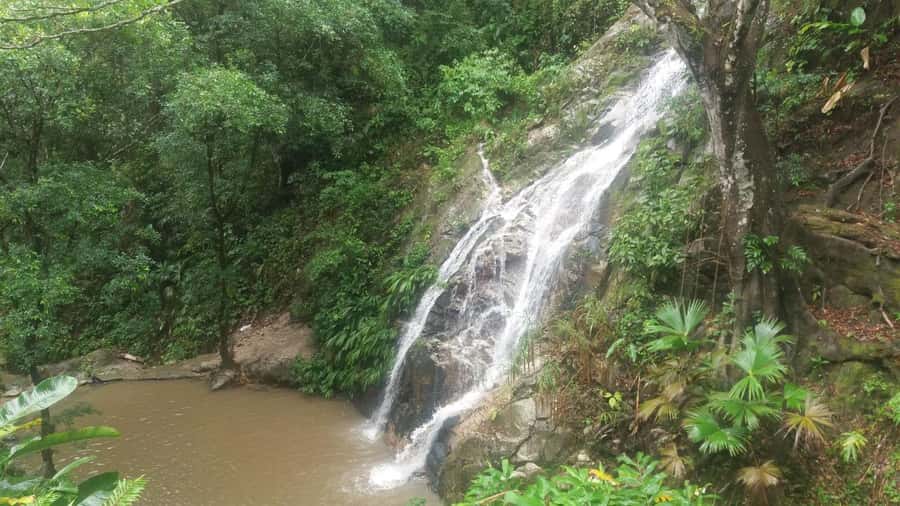 From Santa Marta: Marinka Waterfalls 4x4 Tour with Transfer - The 4x4 Ride From Minca: What to Expect on the Trail Segment
