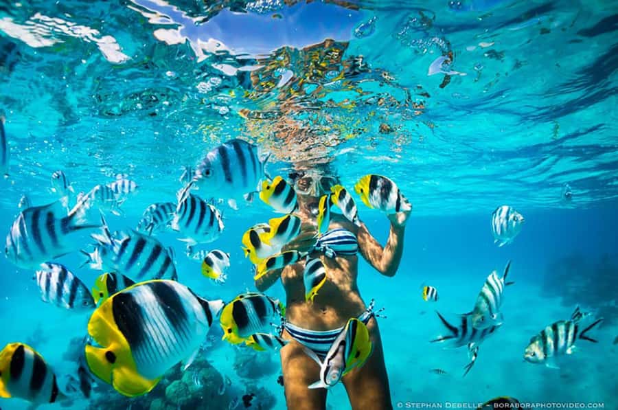 From Santa Marta: Sisiguaca Beach Hike with Snorkeling - Tayrona-area shoreline to Sisiguaca Beach, the moment it slows down
