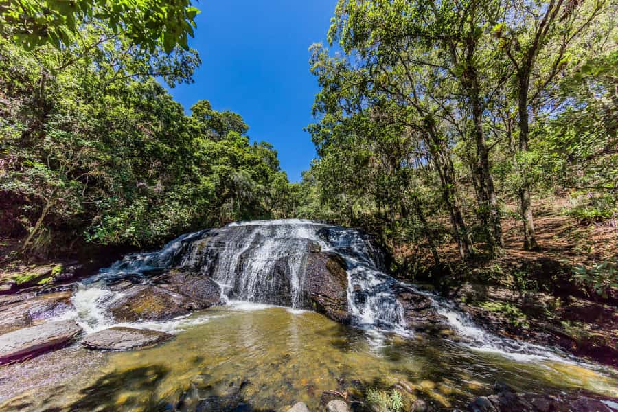 From Villa de Leyva: La Periquera Hiking Tour - The Endemic Plant Trail And the Small Lesson That Changes Everything