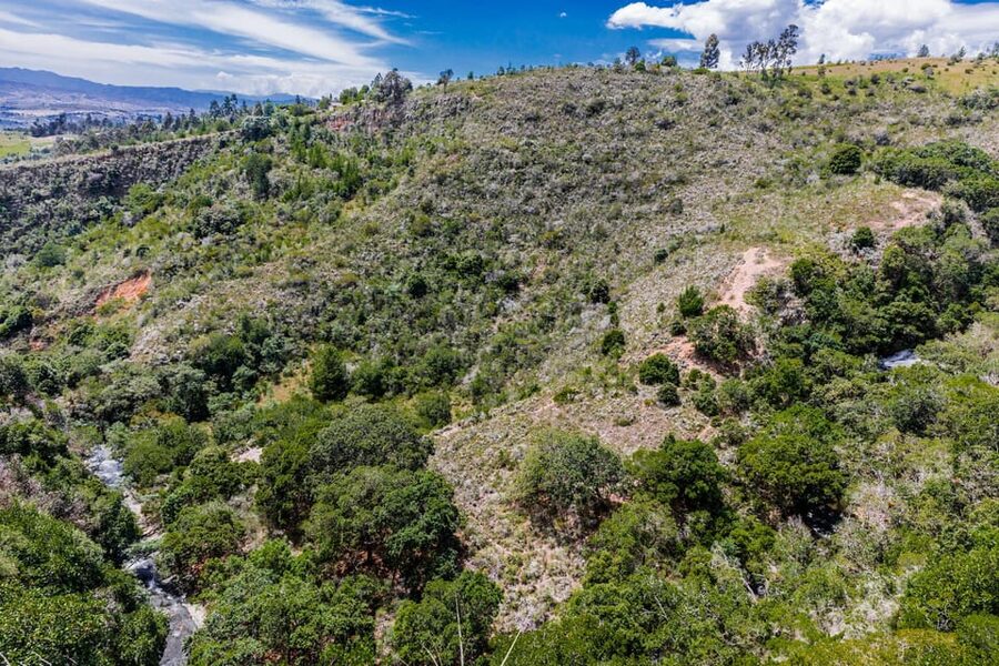 From Villa de Leyva: La Periquera Hiking Tour - Who This Hike Is Perfect For