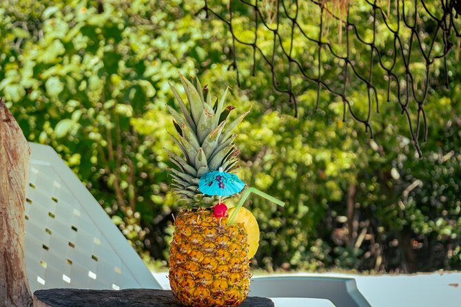 Full Day Encantada beach Rosario Island Nature is the new Luxury - Your island time at Isla Encantada: mangroves, beaches, and water options