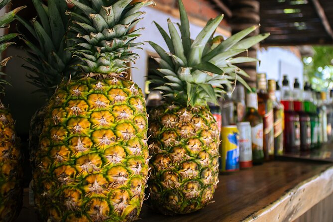 Full Day Encantada beach Rosario Island Nature is the new Luxury - What can go wrong: maintenance cancellations and weather reality