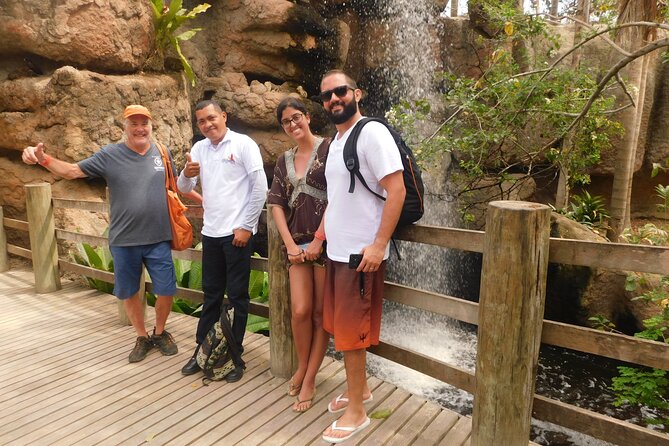 Full Day for Bird Watching with Visit to Isla Baru - Aviario Nacional de Colombia: where birding starts early