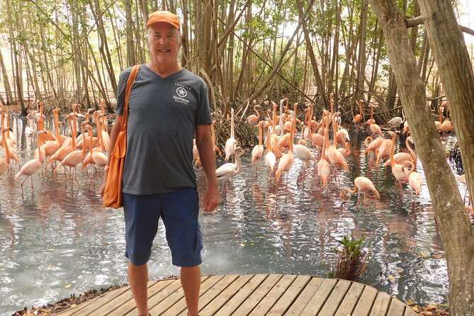 Full Day for Bird Watching with Visit to Isla Baru - What kind of traveler will love this day most