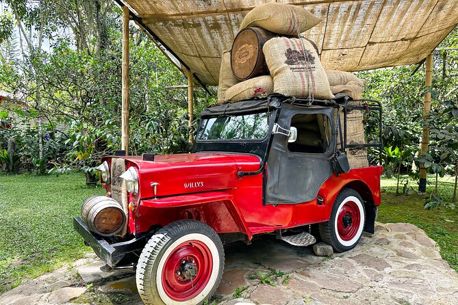 Full Day learning about the Process of the Best Coffee in the World - Private Transportation and a Group Size That Feels Manageable