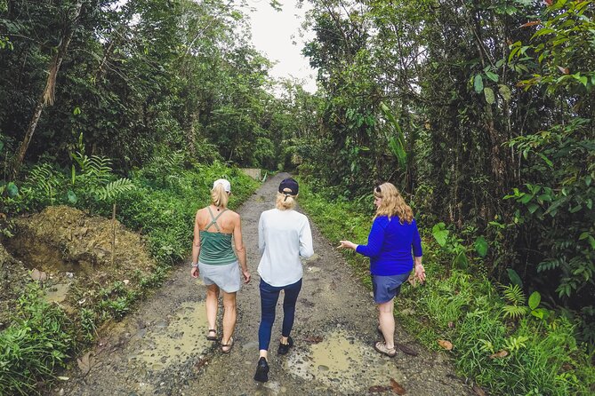 Full Day Private Adventure Tour to San Cipriano - Río San Cipriano water time, swimming, four waterfalls, and tire tubing
