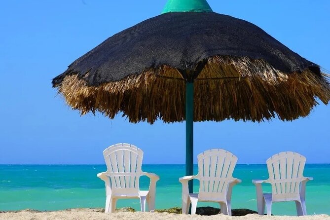 Full Day Private Beach Club Palma Island and Full Food - Lunch at the island: timing, menu, and how to avoid confusion