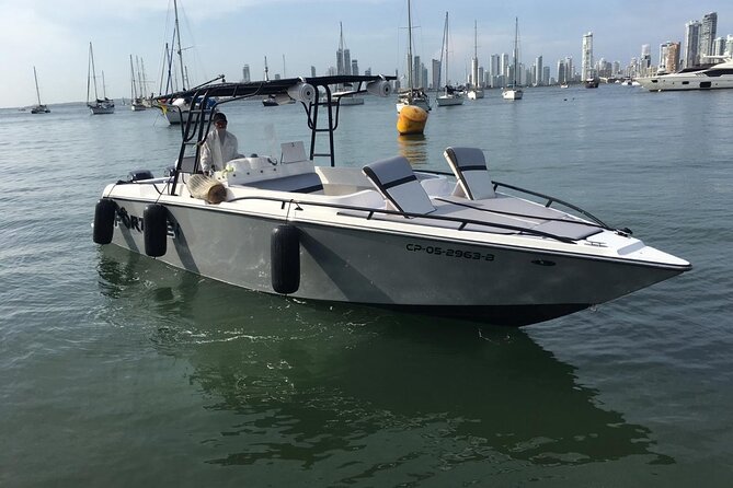 Full Day Private Boat Rent to Rosario and Barú Island - Who this private boat day suits best