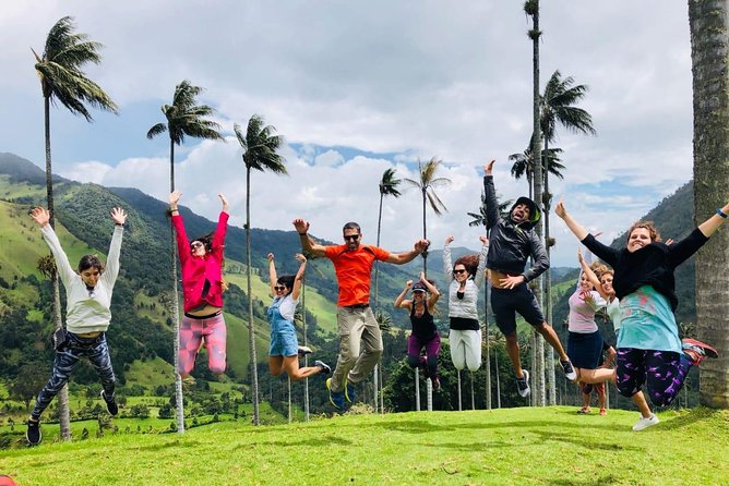 Full-Day Private Coffee Tour in Cocora Valley and Salento - Why This Cocora and Salento Coffee Day Works So Well