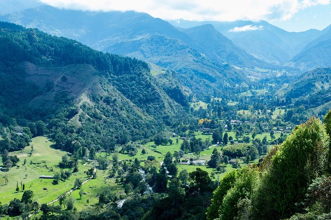 Full-Day Private Coffee Tour in Cocora Valley and Salento - Finca Buenos Aires Coffee Tour and Coffee Shop: How the Bean Becomes Your Cup