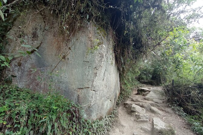 Full-Day Private Tour to La Chorrera Waterfall and El Chiflón - Two waterfalls in one day: why this pairing works