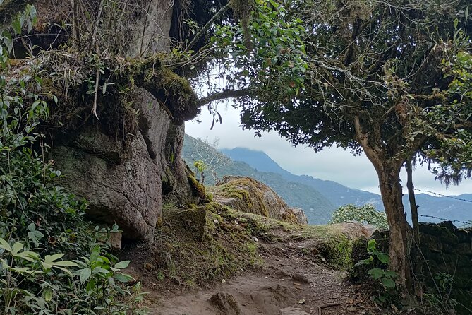 Full-Day Private Tour to La Chorrera Waterfall and El Chiflón - El Chiflón Waterfall: 59 meters, clear water, and a good photo pause