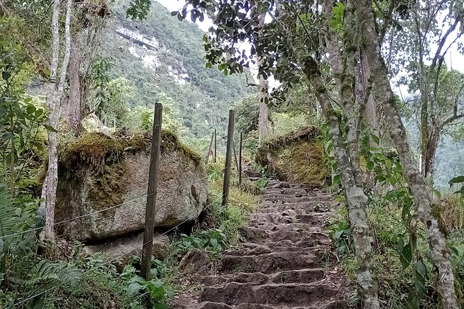 Full-Day Private Tour to La Chorrera Waterfall and El Chiflón - Guides and drivers: what makes this tour feel smooth