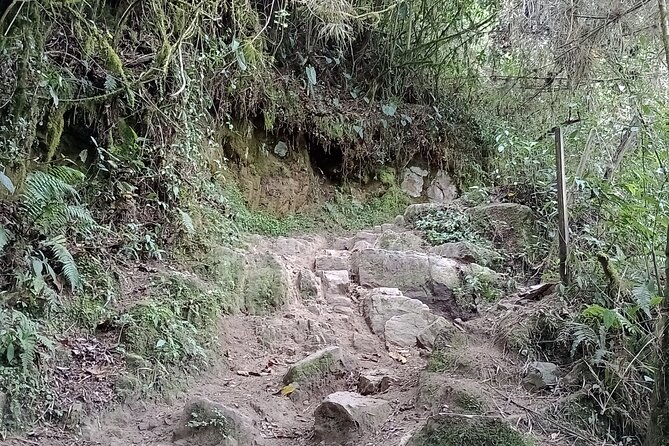Full-Day Private Tour to La Chorrera Waterfall and El Chiflón - Price and value: is $169 per person worth it?