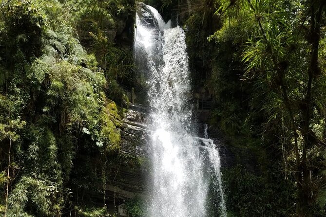 Full-Day Private Tour to La Chorrera Waterfall and El Chiflón - Weather can change the waterfall, and the hike