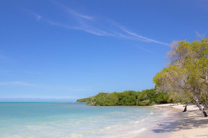 Full Day Rosario Islands Playa Agua Azul Cholon Playa Blanca - Stop 1: Islas de Rosario and the snorkeling hour that sets the tone
