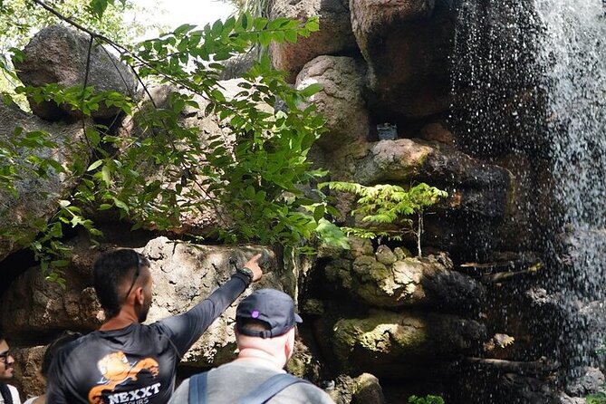 Full-Day Tour Baru - National Aviary and Playa Blanca + Bioluminescent Plankton - Night boat with native islanders: how bioluminescent plankton works