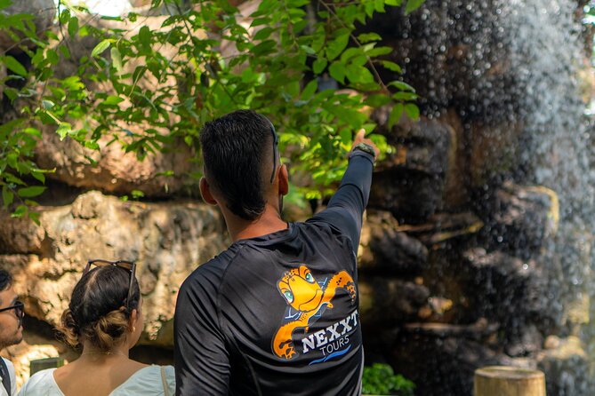 Full-Day Tour Isla Baru - National Aviary of Colombia and Playa Blanca - What’s included, what costs extra, and how to budget like a local