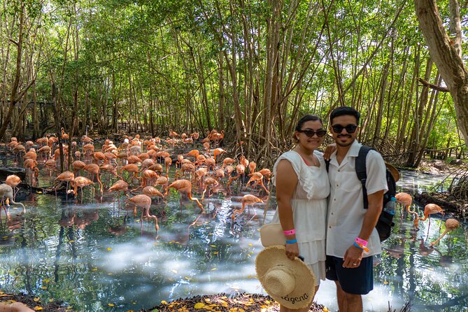 Full-Day Tour Isla Baru - National Aviary of Colombia and Playa Blanca - National Aviary of Colombia: the 11:30 presentation is the anchor of the day