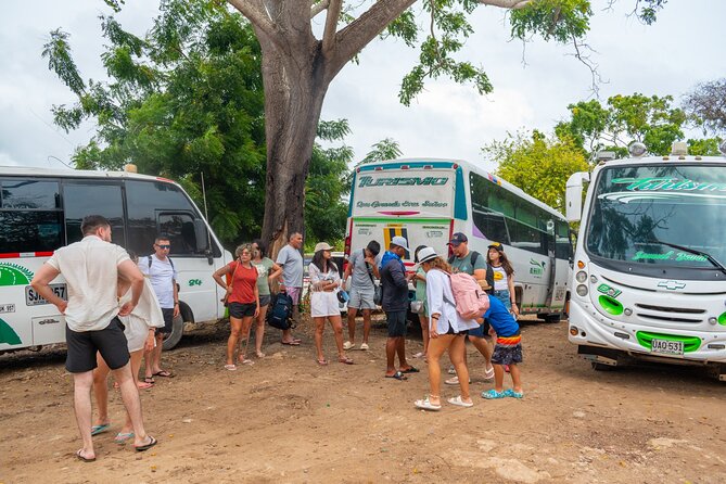 Full Day Tour to 4 Rosario Islands with snorkeling and plankton in Cartagena - Pickup and meeting point: start early, stay organized
