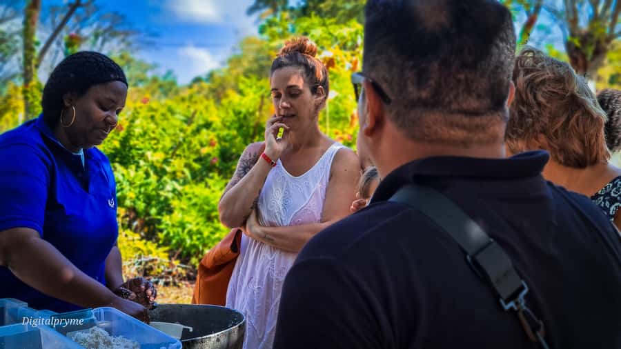 Gastronomic and musical experiences in San Andres Rondontour - San Andrés food and music in one afternoon