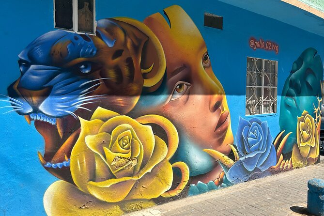Graffiti tour in Ciudad Bolívar - Key things I’d zero in on