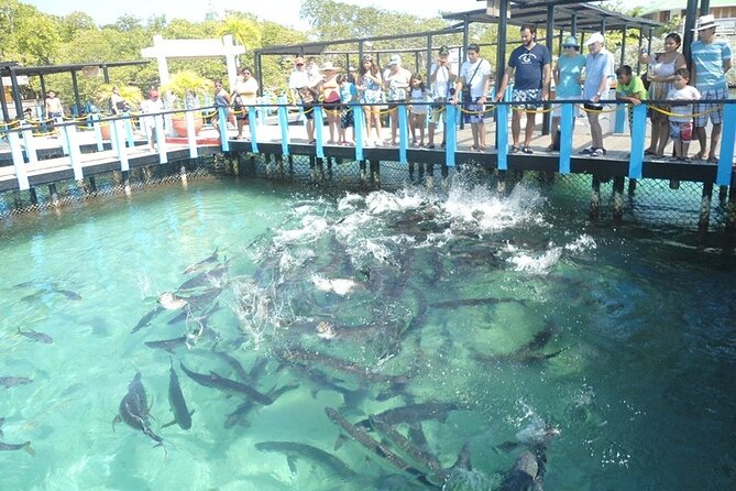 Great Tours Rosario Island, Blue Beach, Cholon And White Beach - Cholón stop: seafood tasting and island ambience