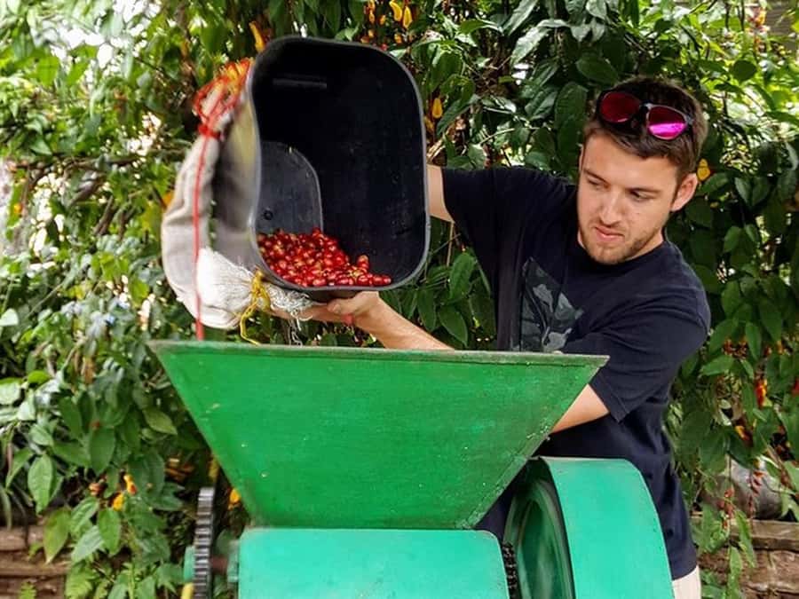 Guatapé & Coffee Farm, all in one day - Guatapé town walk: zócalos, cobblestones, and stories you can repeat