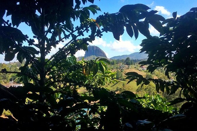 Guatape & Coffee Farm & El Peñol Rock & Quaint Town: Best Combo - Why This Medellín Combo Works
