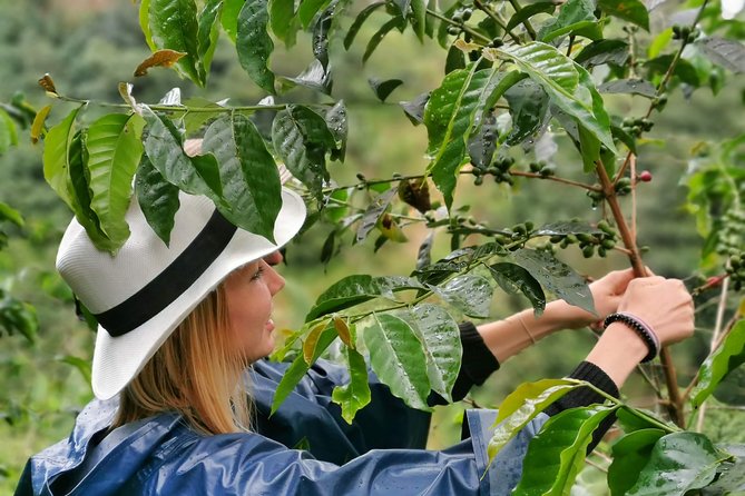 Guatape & Coffee Farm & El Peñol Rock & Quaint Town: Best Combo - Stop 1: Exotic Fruits and a Non-Touristy Market Break