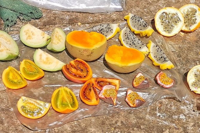 Guatape Town & Peñol Rock & Exotic Fruit Tasting | Private Tour - Medellín to Guatapé in a private vehicle: comfort and real time saved