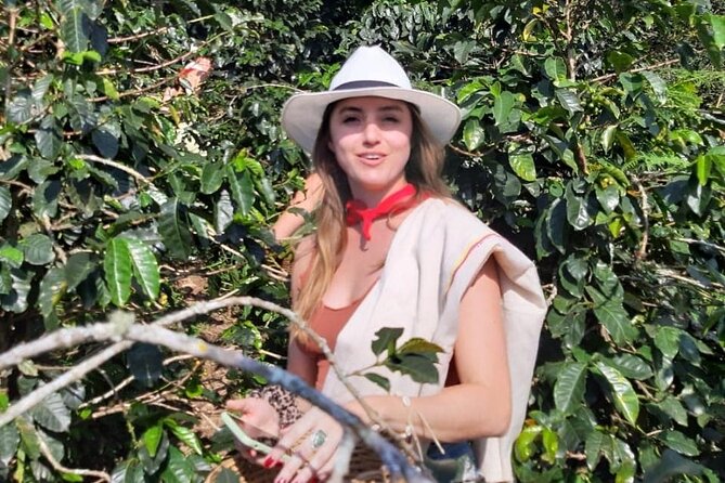 Guatape With Coffe Tours - Key Highlights You Should Know Before You Go