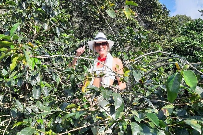 Guatape With Coffe Tours - Stop 2: The Boat Trip Near Guatapé (Not Included)