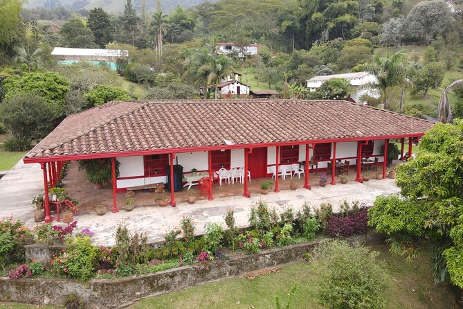 Half-day coffee tour at a coffee farm in Medellin. - Key highlights you should care about