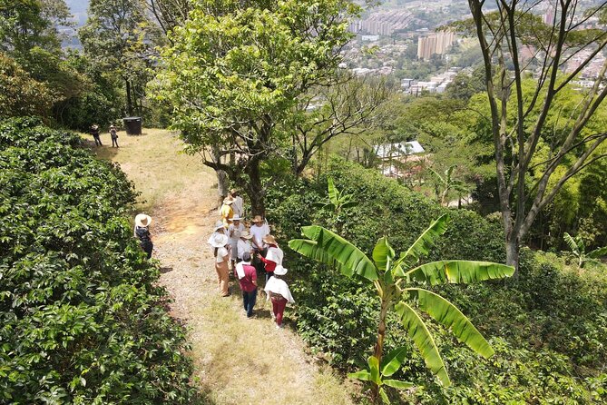 Half-day coffee tour at a coffee farm in Medellin. - Where You Start: Café Corazón de León in Itagüí