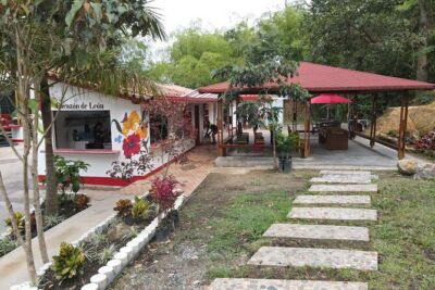 Half-day coffee tour at a coffee farm in Medellin.