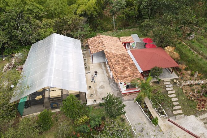 Half-day coffee tour at a coffee farm in Medellin. - Who Should Book This Coffee Farm Tour