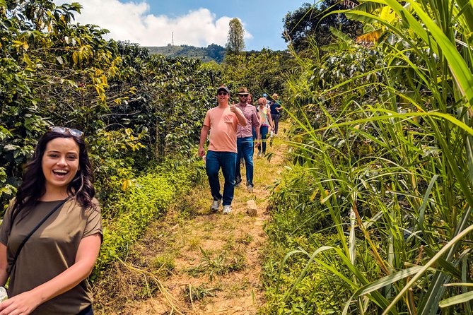 Half-Day Coffee Tour: From the Seed to the Cup, Farm & roastery - Inside the Medellín Morning: how the half-day tour plays out