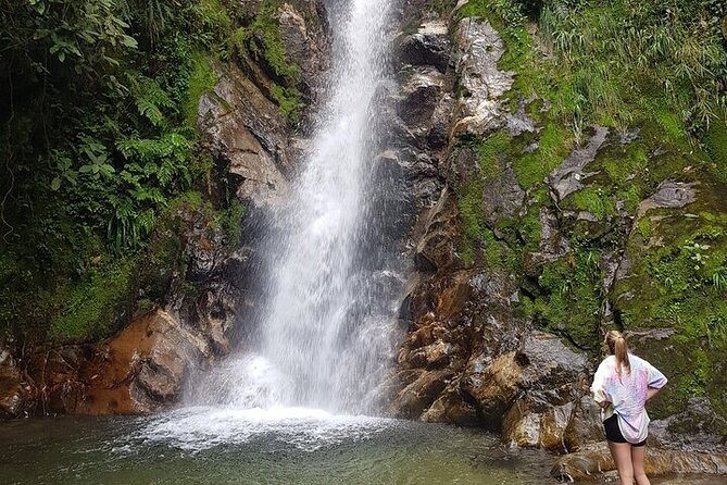 Half Day Waterfall Tour from Medellin - Stop 2 in Envigado: A Natural Reserve Stretch Before You Head Back