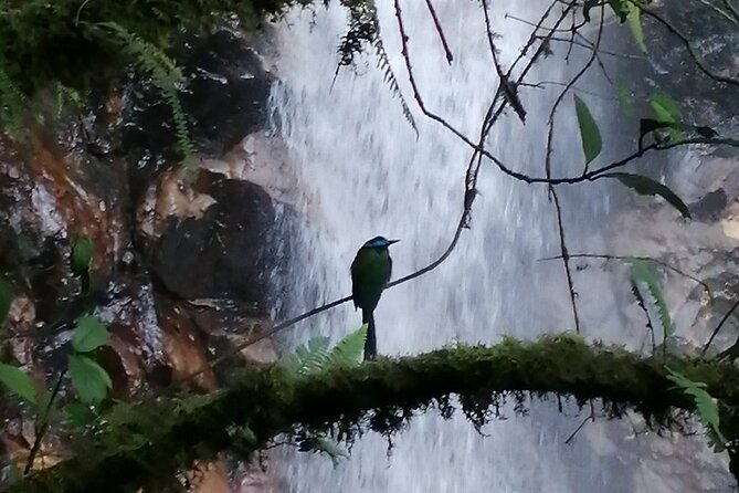 Half Day Waterfall Tour from Medellin - What to Wear and Bring for Mud, Water, and Cooler Mountain Air