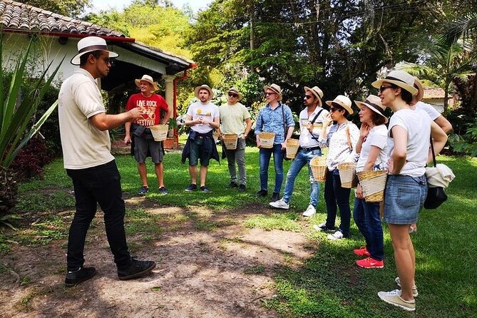 Hands-On Tour to Coffee Plantation from Bogota Option basic - Key things to know before you go