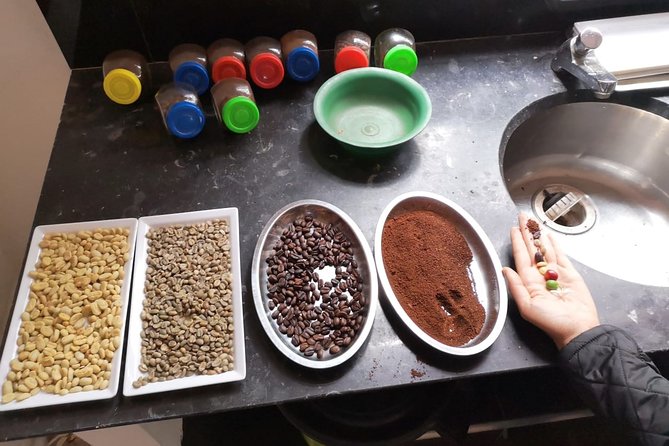 Hands-On Tour to Coffee Plantation from Bogota Option basic - Return Stops Near Bogotá: Cafe Tastings and Museum Swaps