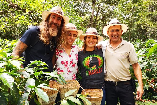 Hands-On Tour to Coffee Plantation from Bogota Option basic - Who Should Book This Coffee Plantation Tour
