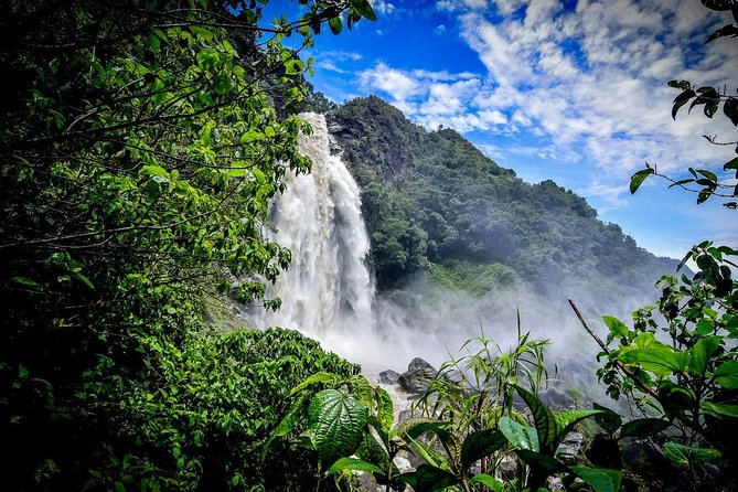 Highest Zipline of Colombia Over Mountains, Jungles & Waterfalls - Key things I’d plan around