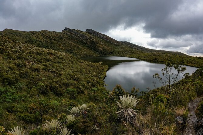Hiking Chingaza Páramo, Siecha Lagoons - Key highlights to expect