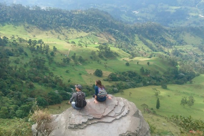 Hiking High Andean Forests - Key things to know before you go