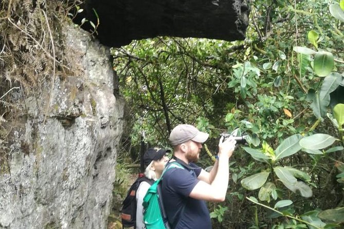 Hiking High Andean Forests - Your return choice: hike back up or take the jeep
